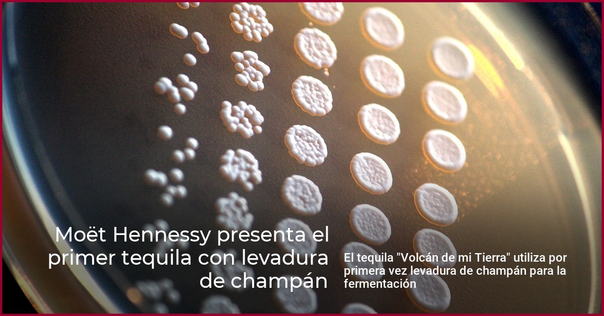 Volcán de mi tierra, primer tequila de Moët Hennessy